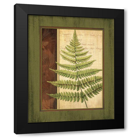 Fern Grotto I Black Modern Wood Framed Art Print by Corbin, Delphine