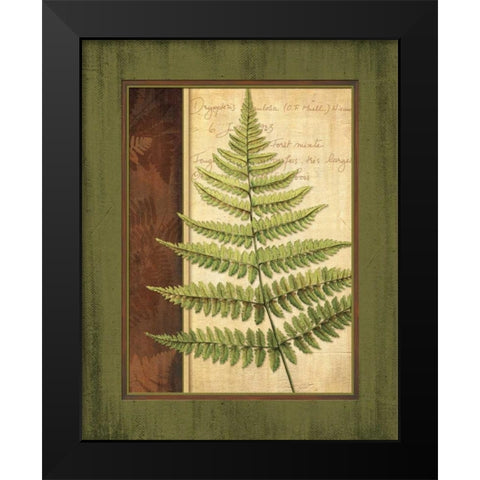 Fern Grotto I Black Modern Wood Framed Art Print by Corbin, Delphine