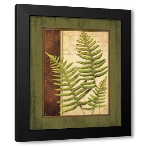 Fern Grotto III Black Modern Wood Framed Art Print with Double Matting by Corbin, Delphine