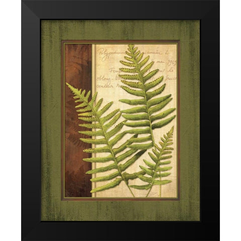 Fern Grotto III Black Modern Wood Framed Art Print by Corbin, Delphine