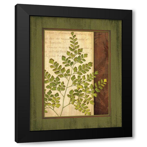 Fern Grotto IV Black Modern Wood Framed Art Print by Corbin, Delphine