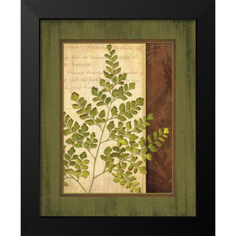 Fern Grotto IV Black Modern Wood Framed Art Print by Corbin, Delphine