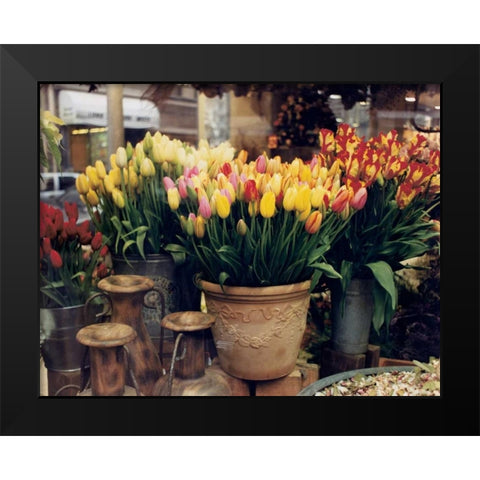 Tulips Paris Black Modern Wood Framed Art Print by Cieslikowski, Zeny