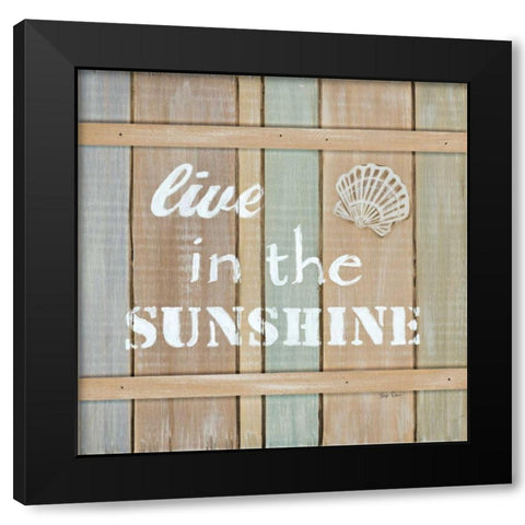 Driftwood Signs III Black Modern Wood Framed Art Print with Double Matting by Davis, Paige