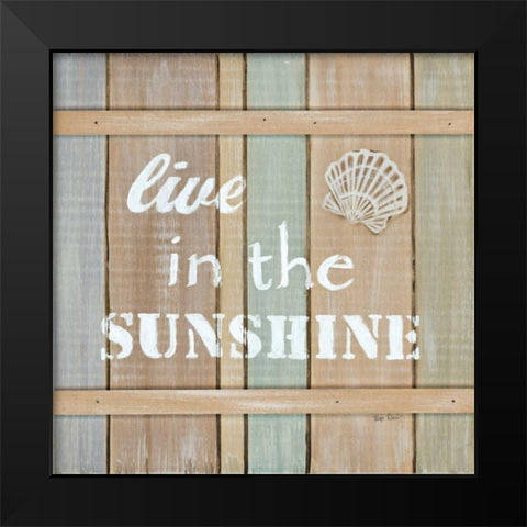 Driftwood Signs III Black Modern Wood Framed Art Print by Davis, Paige