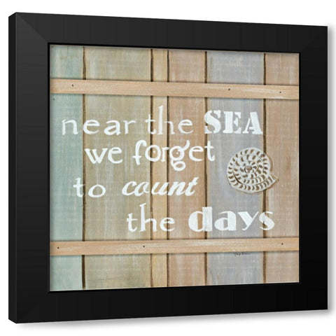 Driftwood Signs IV Black Modern Wood Framed Art Print with Double Matting by Davis, Paige