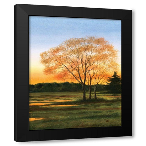 Marsh at Dusk II Black Modern Wood Framed Art Print by Duke, William