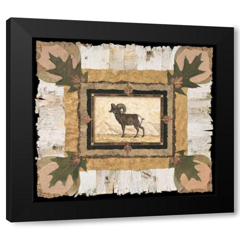 Big Horn Ram Black Modern Wood Framed Art Print with Double Matting by Gladding, Pamela