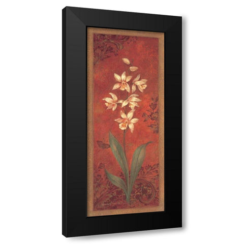 Cymbidium Black Modern Wood Framed Art Print by Gladding, Pamela