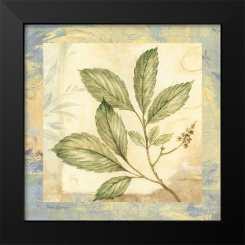 Leaf Botanicals II Black Modern Wood Framed Art Print by Gladding, Pamela