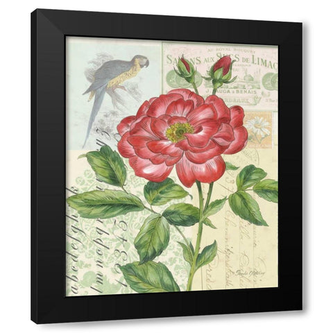 Rose Collage Black Modern Wood Framed Art Print with Double Matting by Gladding, Pamela