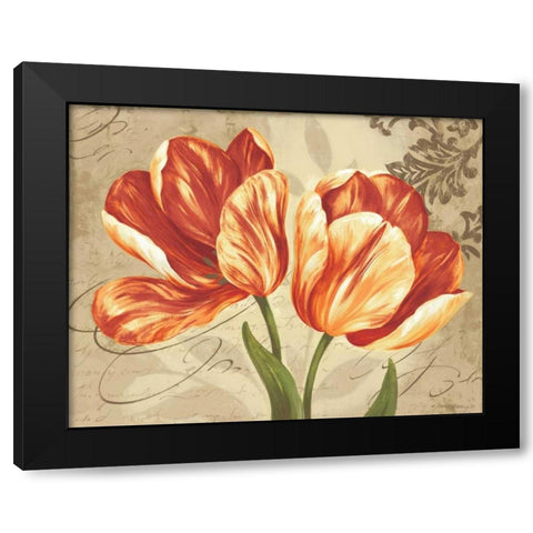Colori II Black Modern Wood Framed Art Print by Gladding, Pamela