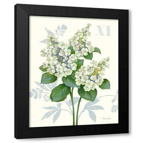 Tardiva Hydrangea Black Modern Wood Framed Art Print with Double Matting by Gladding, Pamela