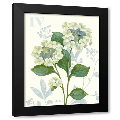Lace Hydrangea Black Modern Wood Framed Art Print with Double Matting by Gladding, Pamela
