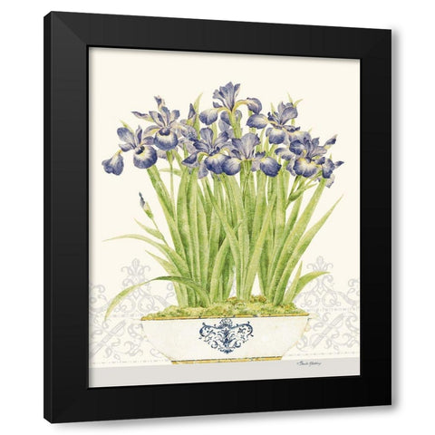 Imperial Irises Black Modern Wood Framed Art Print with Double Matting by Gladding, Pamela