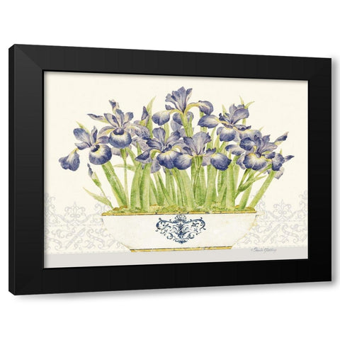 Imperial Irises Horizontal Black Modern Wood Framed Art Print with Double Matting by Gladding, Pamela