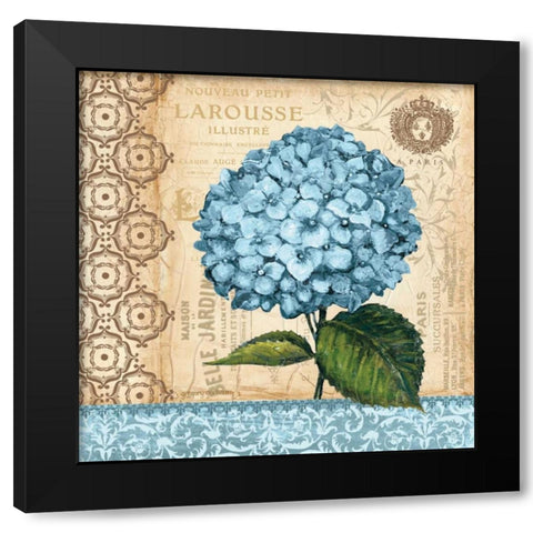 Hydrangea Black Modern Wood Framed Art Print by Gorham, Gregory