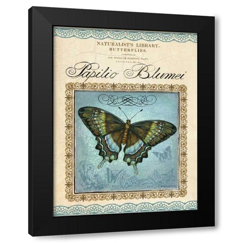 Papilio Blumei Black Modern Wood Framed Art Print with Double Matting by Gorham, Gregory