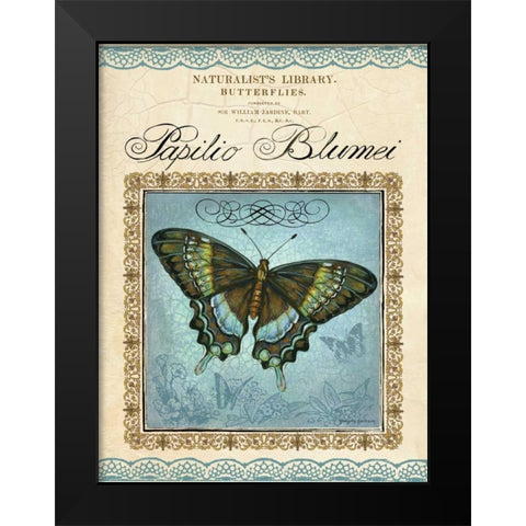Papilio Blumei Black Modern Wood Framed Art Print by Gorham, Gregory