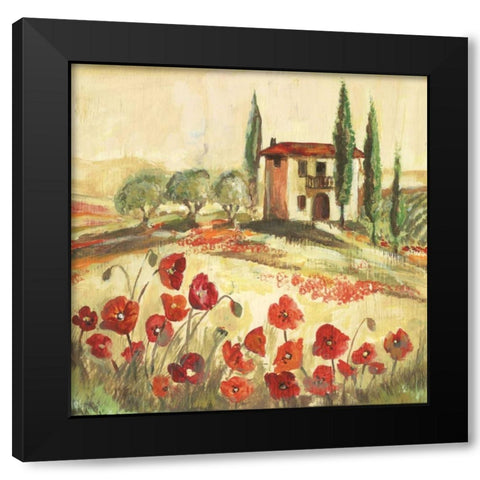 Poppy Field I Black Modern Wood Framed Art Print with Double Matting by Gorham, Gregory