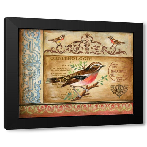 Ornithology Black Modern Wood Framed Art Print with Double Matting by Gorham, Gregory