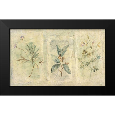 Crackle Sprigs I Black Modern Wood Framed Art Print by Hargittai, Paul