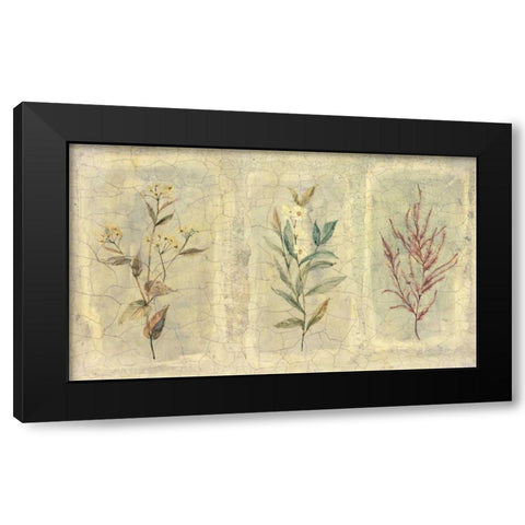 Crackle Sprigs II Black Modern Wood Framed Art Print with Double Matting by Hargittai, Paul