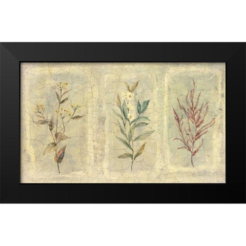 Crackle Sprigs II Black Modern Wood Framed Art Print by Hargittai, Paul