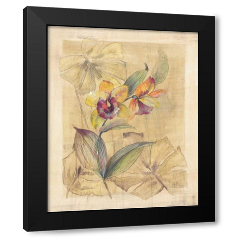 Bahama Breeze I Black Modern Wood Framed Art Print with Double Matting by Hargittai, Paul