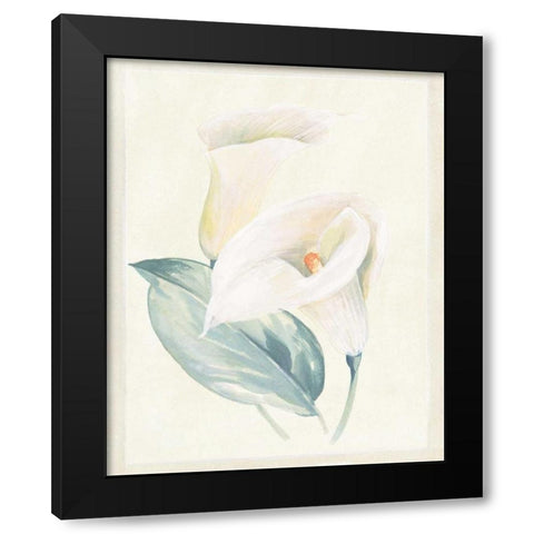 Calla Lily I Black Modern Wood Framed Art Print with Double Matting by Hargittai, Paul