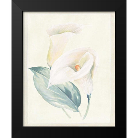 Calla Lily I Black Modern Wood Framed Art Print by Hargittai, Paul