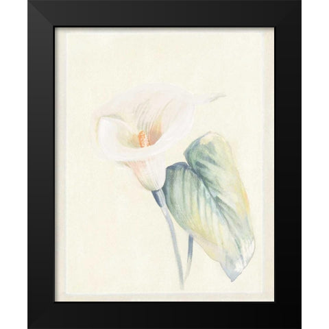 Calla Lily II Black Modern Wood Framed Art Print by Hargittai, Paul