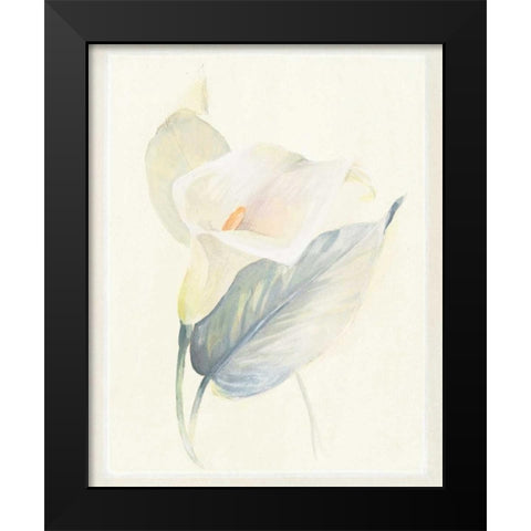 Calla Lily III Black Modern Wood Framed Art Print by Hargittai, Paul
