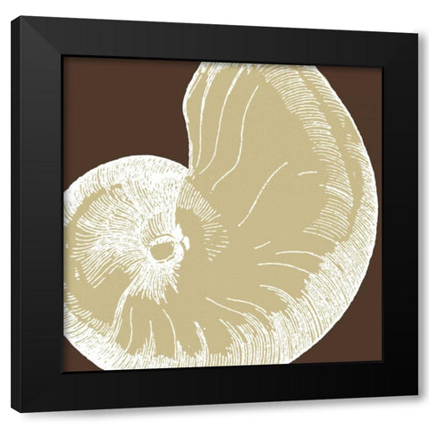 Natural Shell II Black Modern Wood Framed Art Print with Double Matting by Harbick, N