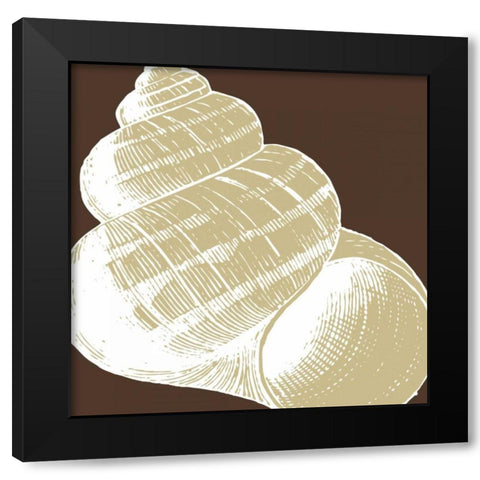 Natural Shell III Black Modern Wood Framed Art Print with Double Matting by Harbick, N