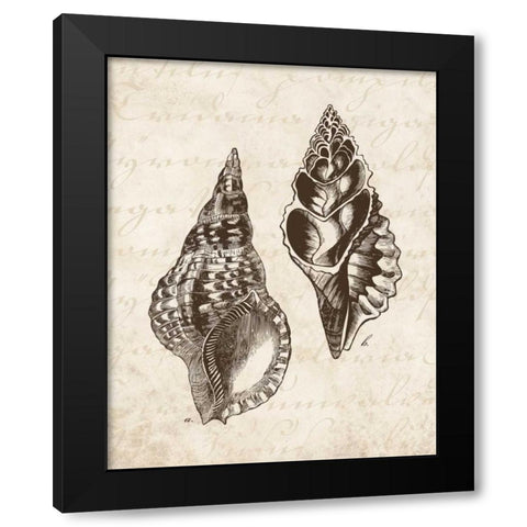 Elegant Shells I - mini Black Modern Wood Framed Art Print by Harbick, N