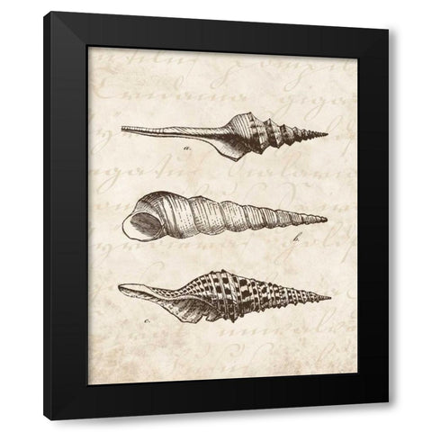 Elegant Shells II - mini Black Modern Wood Framed Art Print by Harbick, N