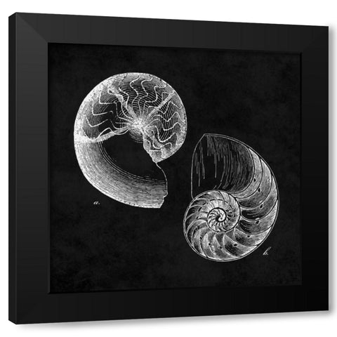 Elegant Negative IV Black Modern Wood Framed Art Print with Double Matting by Harbick, N