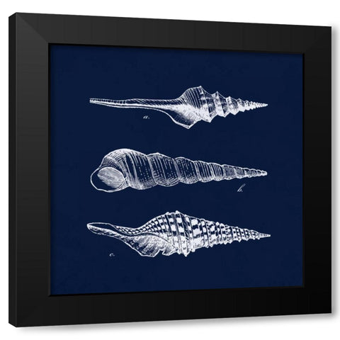 Shell Negative II Black Modern Wood Framed Art Print with Double Matting by Harbick, N