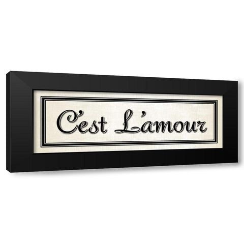 Cest L amour Black Modern Wood Framed Art Print with Double Matting by Harbick, N