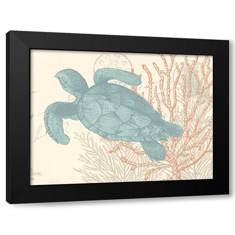 Sea Turtle Black Modern Wood Framed Art Print with Double Matting by Harbick, N