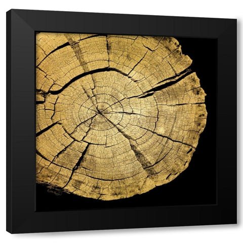 Gold Wood I Black Modern Wood Framed Art Print with Double Matting by Harbick, N.