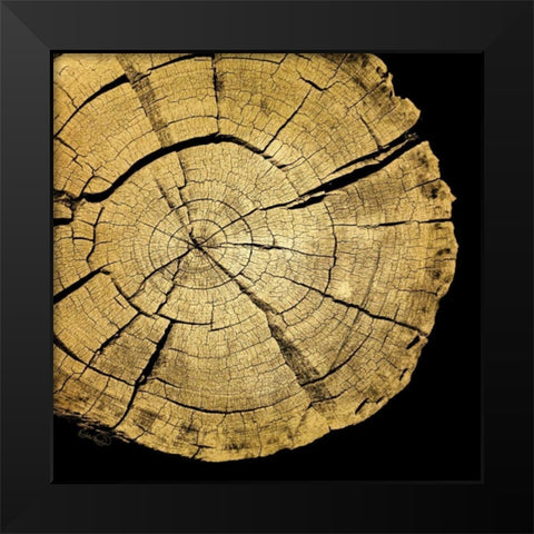 Gold Wood I Black Modern Wood Framed Art Print by Harbick, N.