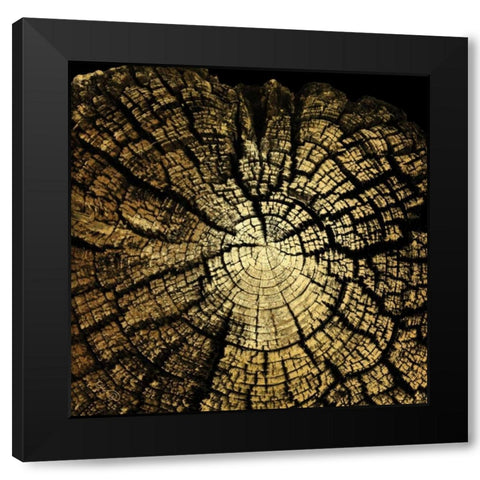 Gold Wood II Black Modern Wood Framed Art Print by Harbick, N.