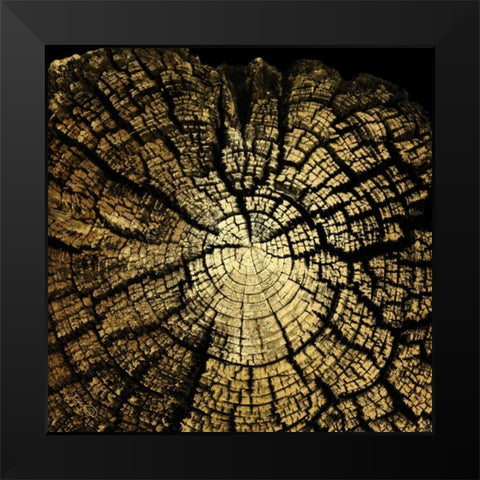 Gold Wood II Black Modern Wood Framed Art Print by Harbick, N.