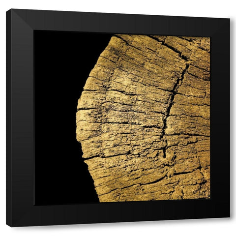 Gold Wood III Black Modern Wood Framed Art Print with Double Matting by Harbick, N.