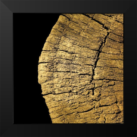 Gold Wood III Black Modern Wood Framed Art Print by Harbick, N.