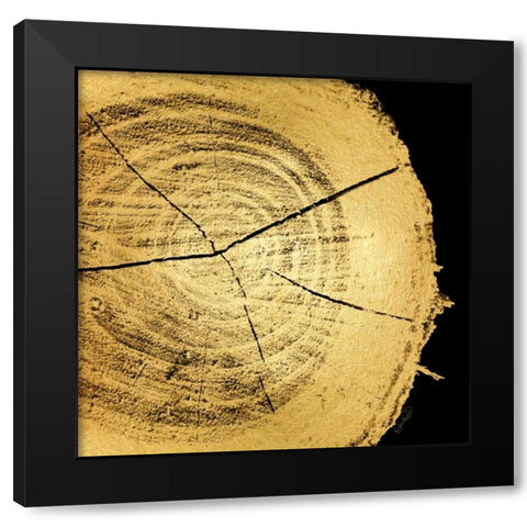 Gold Wood IV Black Modern Wood Framed Art Print with Double Matting by Harbick, N.