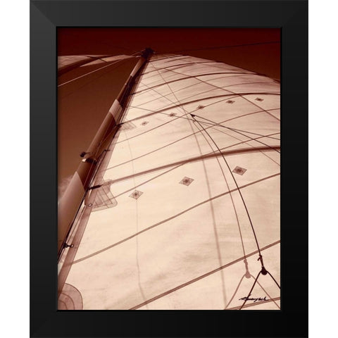 Windward Sail I Black Modern Wood Framed Art Print by Hausenflock, Alan