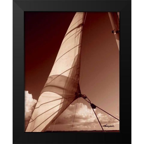 Windward Sail II Black Modern Wood Framed Art Print by Hausenflock, Alan